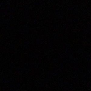 Meet your Posher, Penny